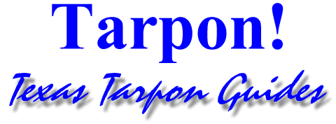 Texas Tarpon Guides